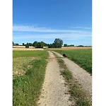 Sussebach Mit 80 Qm شقة *