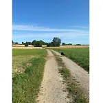 شقة Sussebach Mit 80 Qm Vohringen (Baden-Wurttemberg)
