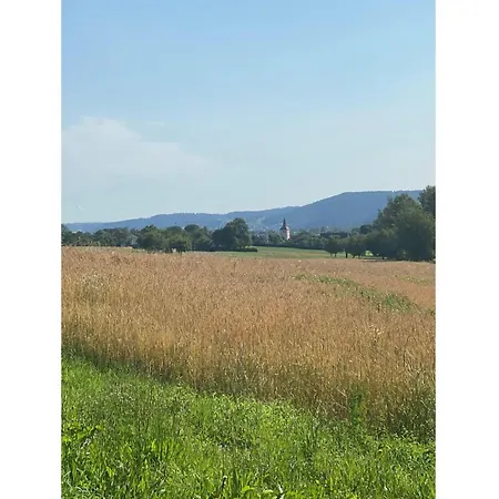 Sussebach * Vohringen (Baden-Wurttemberg)