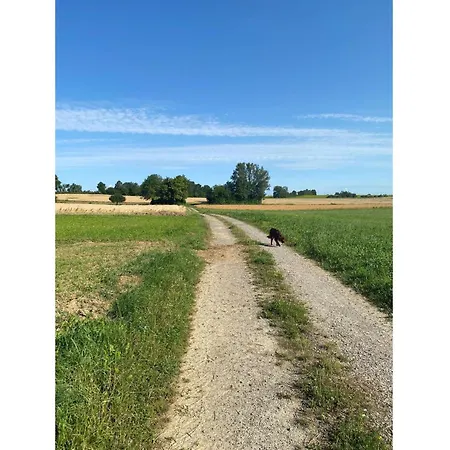 Sussebach Mit 80 Qm شقة *